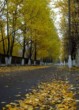 нажмите, чтобы увеличить